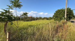 Земельный участок СОГ Приморский фото 1 Земельный участок СОГ Приморский фото 1