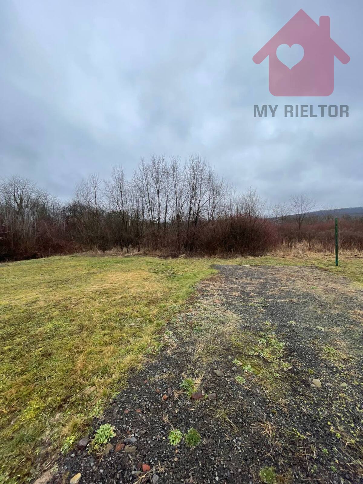 ������ ������ ����� ���� ���� 1