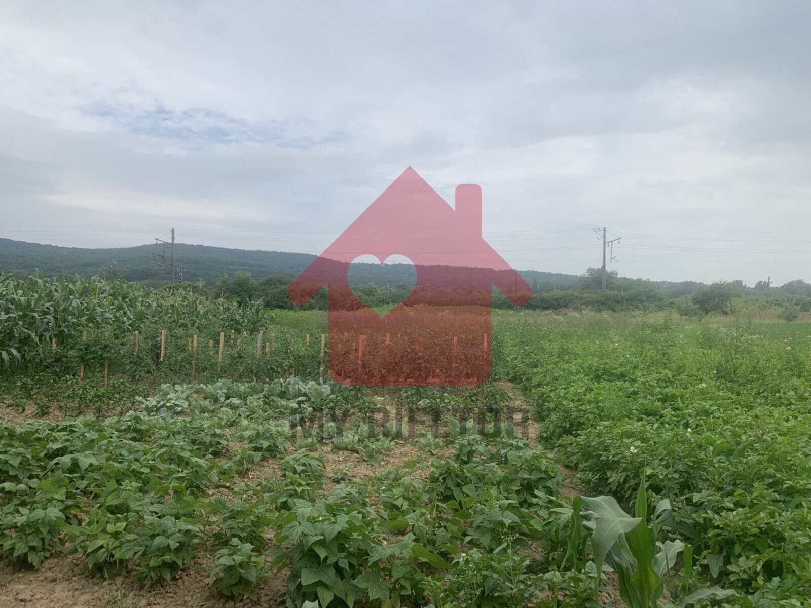 Продаж ділянки район Доманинці. фото 1 Продаж ділянки район Доманинці. фото 1