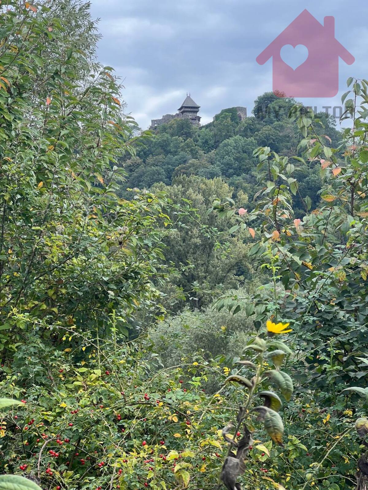 Продаж чудових ділянок в с.Кам'яниця фото 1 Продаж чудових ділянок в с.Кам'яниця фото 1