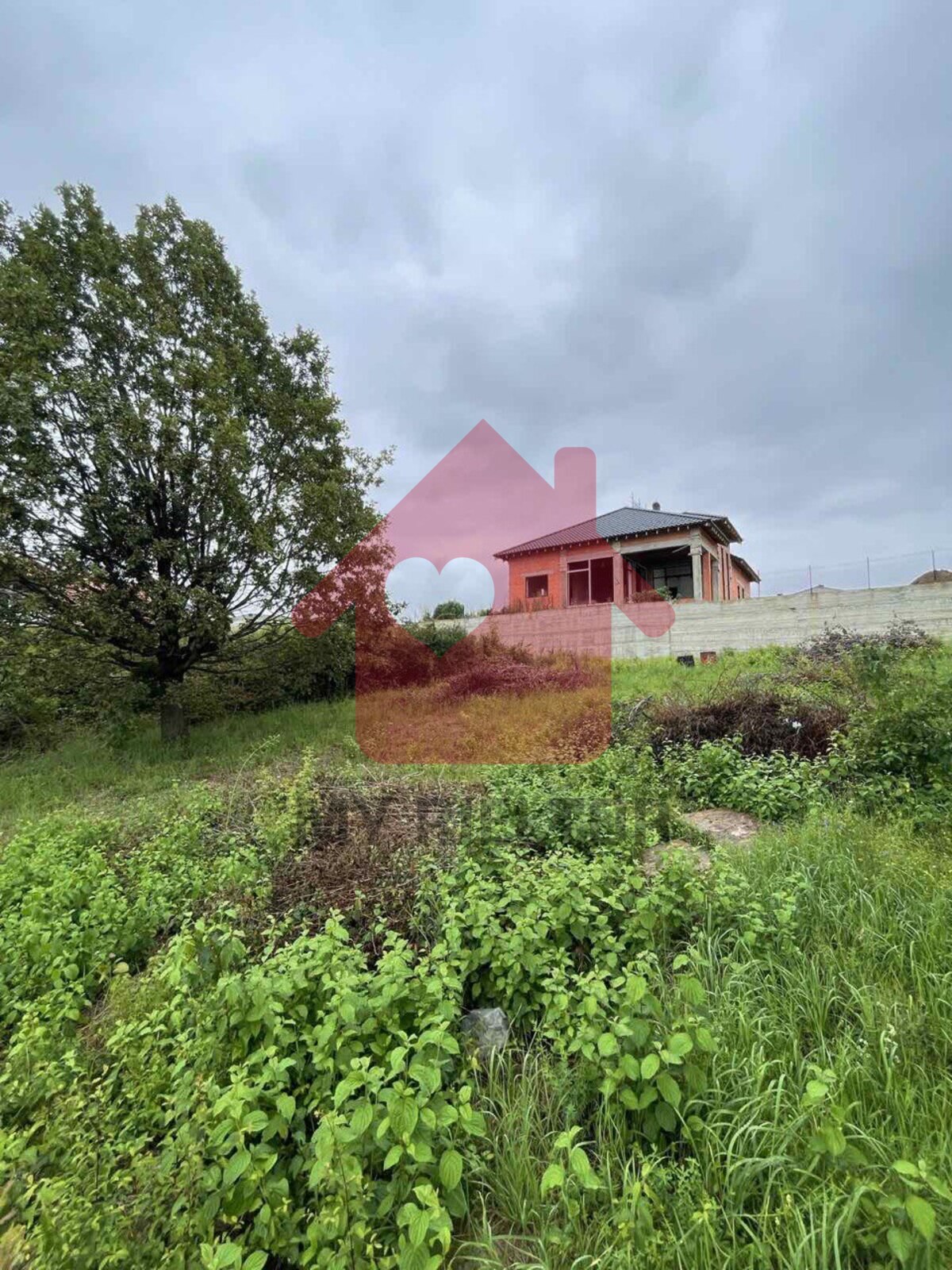 Продаж ділянки Червениця. фото 1 Продаж ділянки Червениця. фото 1