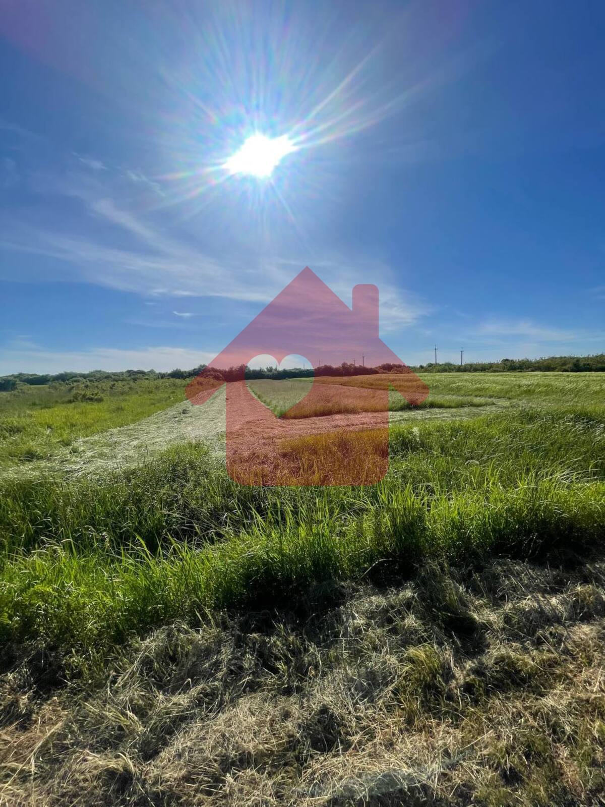 Продаж ділянки в с. Довге поле фото 1 Продаж ділянки в с. Довге поле фото 1