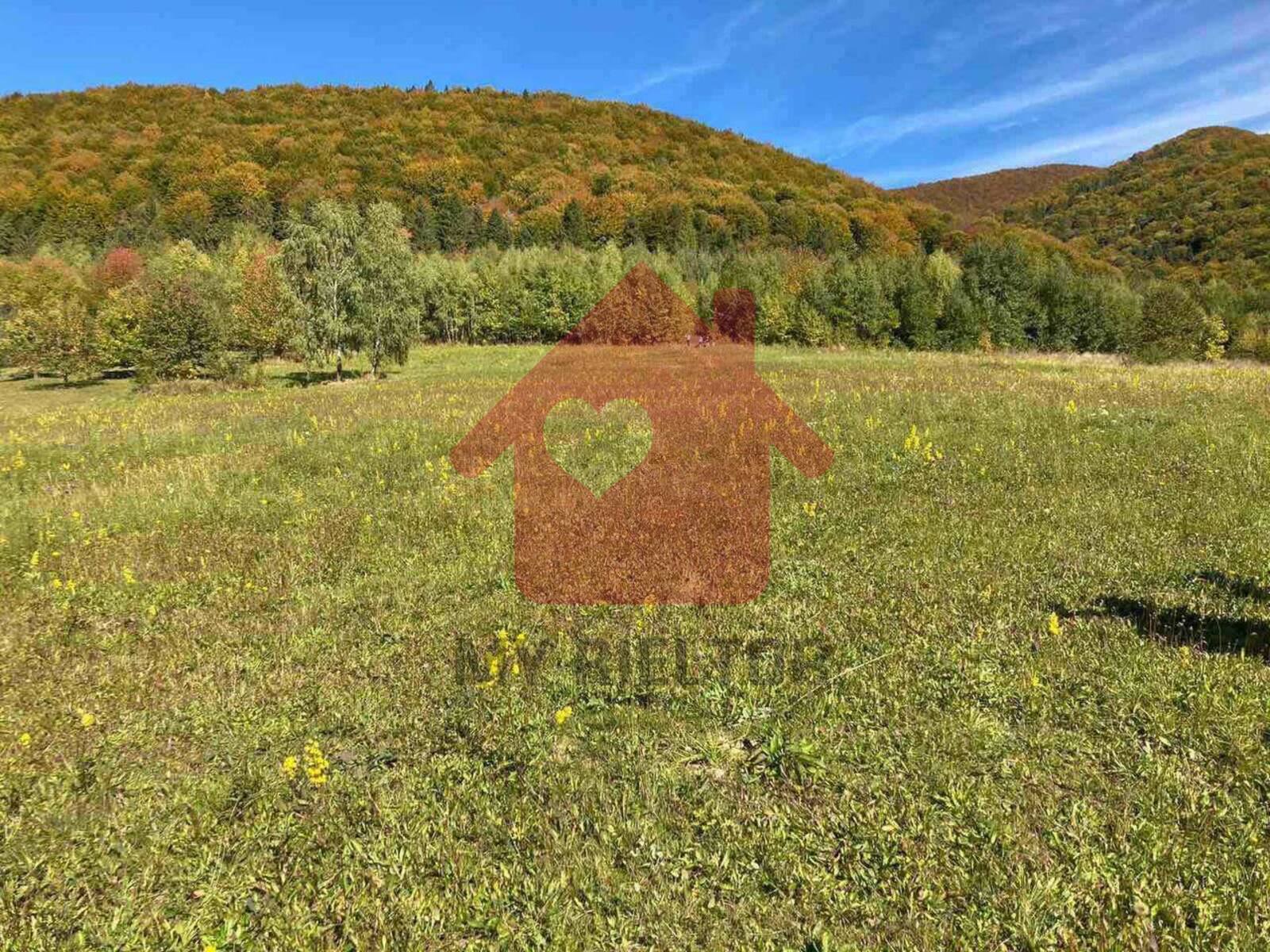 Продаж земельної ділянки с.Вишка фото 1 Продаж земельної ділянки с.Вишка фото 1