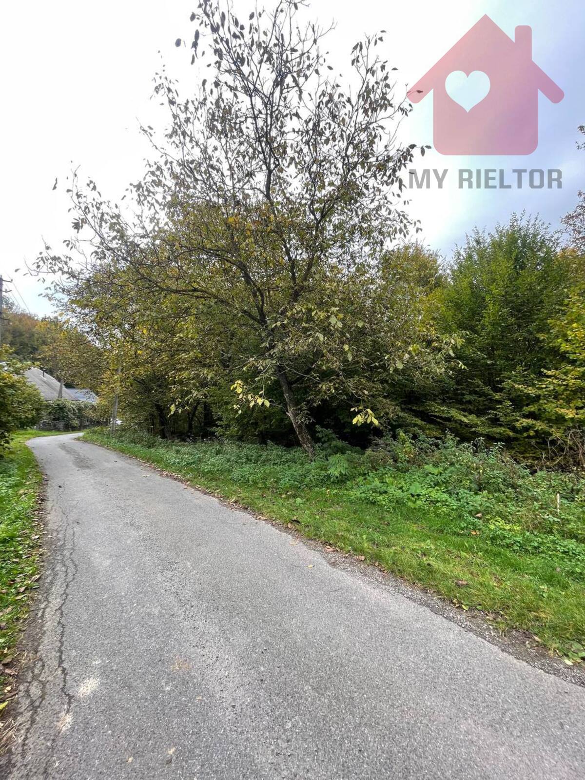 Продаж земельної ділянки в с.Гута фото 1 Продаж земельної ділянки в с.Гута фото 1