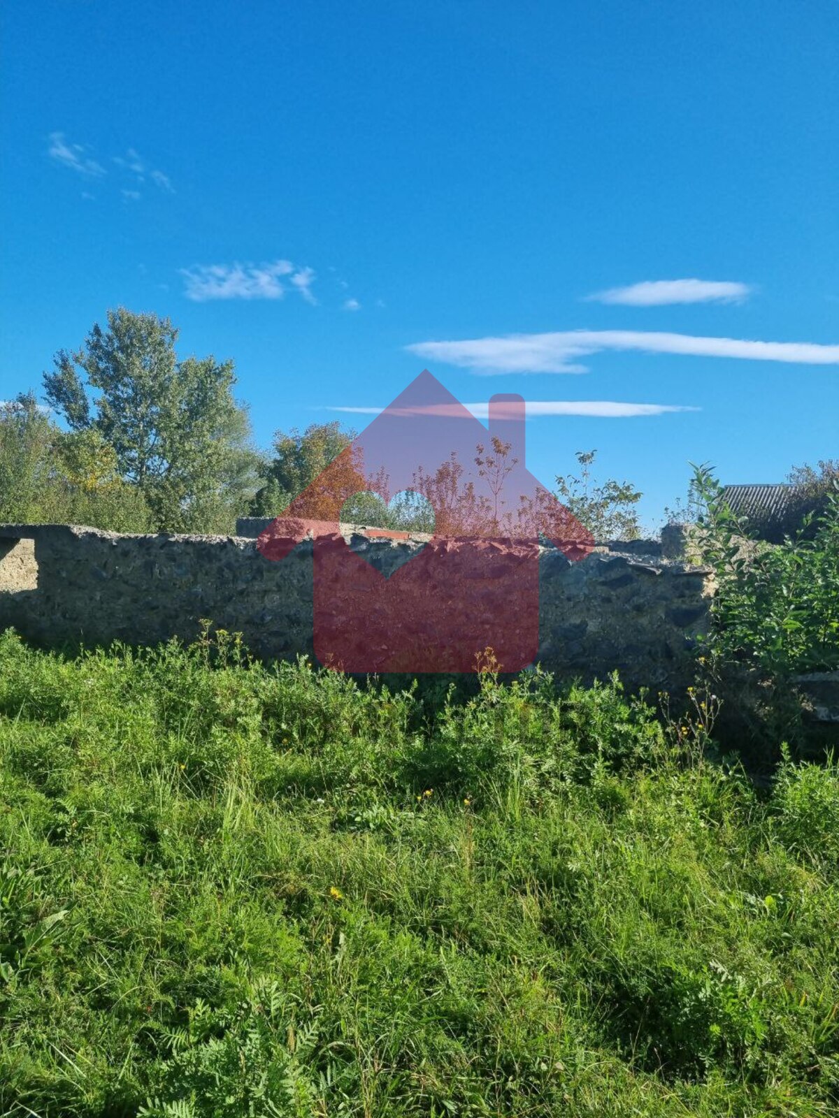 Продаж ділянки Малі Селменці фото 1 Продаж ділянки Малі Селменці фото 1