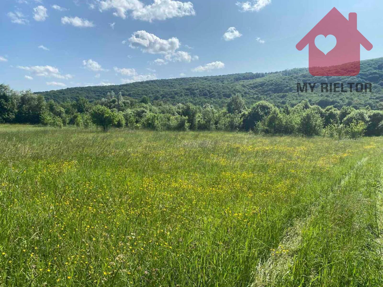 Продається земельна ділянка смт Малий Березний! фото 1 Продається земельна ділянка смт Малий Березний! фото 1