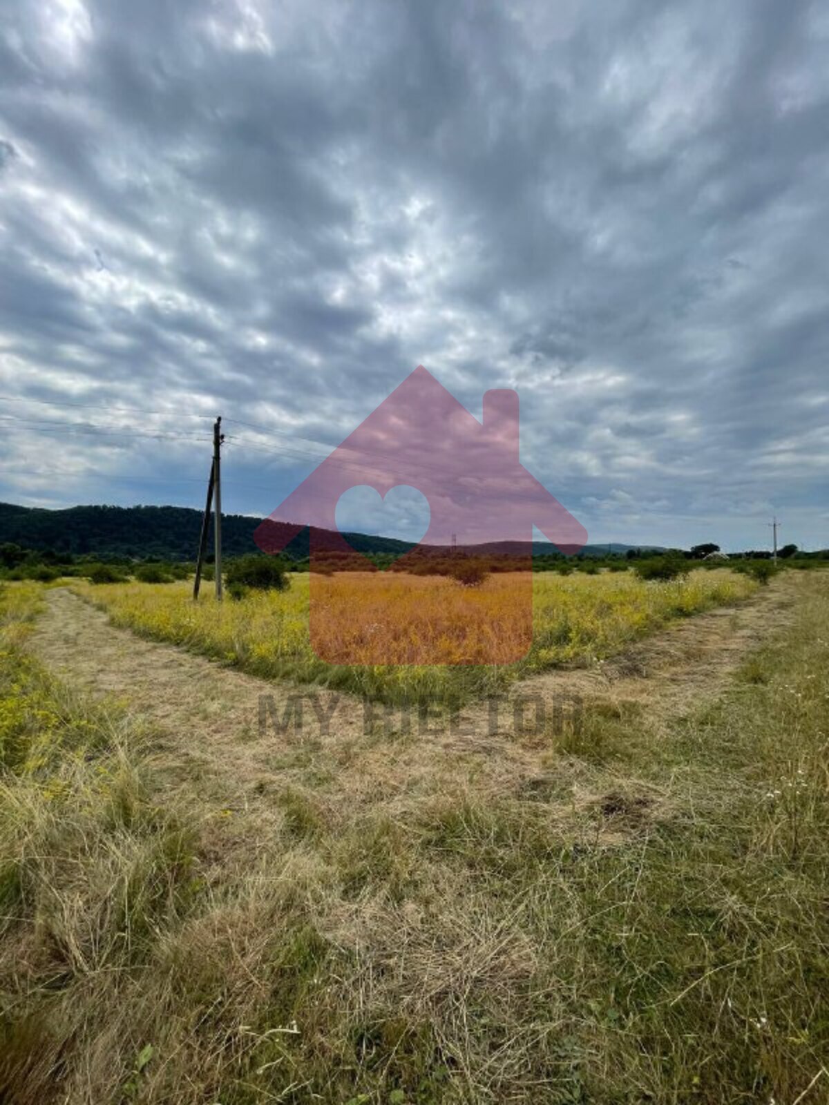 Продається ділянка Закарпатська, Ужгородський, Невицьке, Невицьке фото 1 Продається ділянка Закарпатська, Ужгородський, Невицьке, Невицьке фото 1