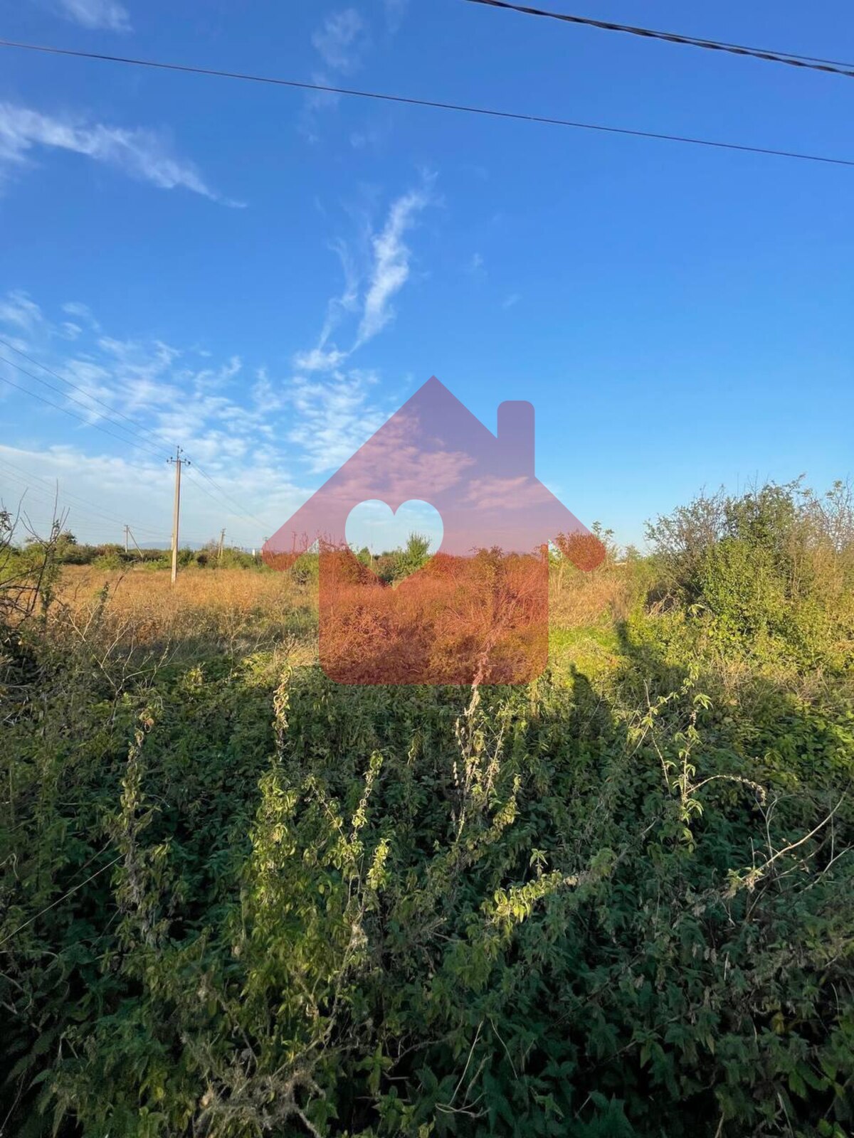 Продаж земельної ділянки с.Концово. фото 1 Продаж земельної ділянки с.Концово. фото 1