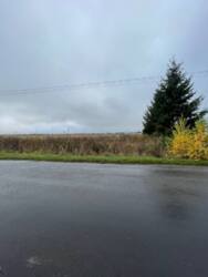 Продаж ділянки площею 205 сот. фото 1 Продаж ділянки площею 205 сот. фото 1