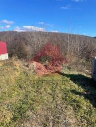 Продаж ділянки у с. Камʼяниця! фото 3 Продаж ділянки у с. Камʼяниця! фото 3