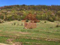 Продаж 1 Гектара землі в с. Худльово фото 5 Продаж 1 Гектара землі в с. Худльово фото 5