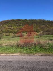 Продаж 1 Гектара землі в с. Худльово фото 6 Продаж 1 Гектара землі в с. Худльово фото 6