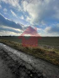 Продаж земельних ділянок у Сторожниці (урочище сад) фото 4 Продаж земельних ділянок у Сторожниці (урочище сад) фото 4