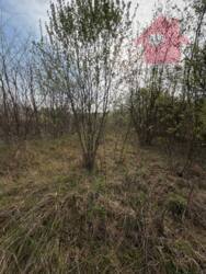 �������� ������ ��� ����� 555, ������! ���� 4