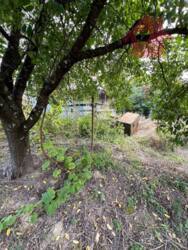 Продається чудова ділянка м.Ужгород фото 5 Продається чудова ділянка м.Ужгород фото 5