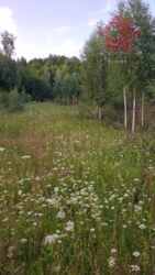 ������ �������� ������ �� ����������! ���� 4