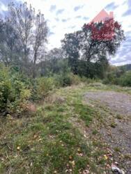 Продаж чудових ділянок в с.Кам'яниця фото 3 Продаж чудових ділянок в с.Кам'яниця фото 3