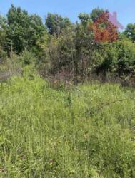 Продаж ділянки с. Холмець фото 2 Продаж ділянки с. Холмець фото 2