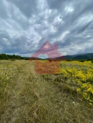 Продається ділянка Закарпатська, Ужгородський, Невицьке, Невицьке фото 3 Продається ділянка Закарпатська, Ужгородський, Невицьке, Невицьке фото 3