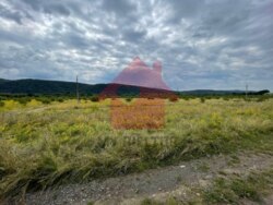 Продається ділянка Закарпатська, Ужгородський, Невицьке, Невицьке фото 2 Продається ділянка Закарпатська, Ужгородський, Невицьке, Невицьке фото 2
