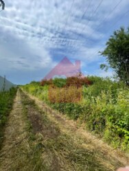 Продаж ділянки в м. Ужгород фото 3 Продаж ділянки в м. Ужгород фото 3