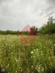 Продаж ділянки в Садовому р-н. фото 2 Продаж ділянки в Садовому р-н. фото 2