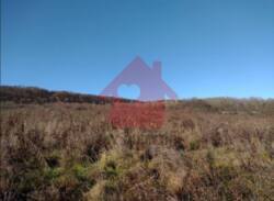 Продаж ділянки в с. Циганівці! фото 7 Продаж ділянки в с. Циганівці! фото 7