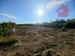Продаж землі! Терміново!!! фото 3 Продаж землі! Терміново!!! фото 3