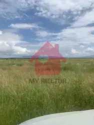 Продається ділянка в Тарнівцях 10 сотин ОСГ, можливе переведення під будівництво. Фасад 17.50 м, довжина 57. фото 4 Продається ділянка в Тарнівцях 10 сотин ОСГ, можливе переведення під будівництво. Фасад 17.50 м, довжина 57. фото 4