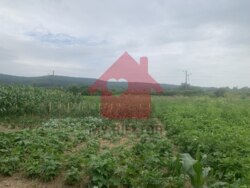 Продаж ділянки район Доманинці. фото 1 Продаж ділянки район Доманинці. фото 1