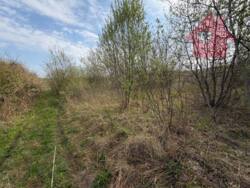 �������� ������ ��� ����� 555, ������! ���� 1