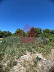 Продається чудова ділянка не подалік Ужгорода фото 5 Продається чудова ділянка не подалік Ужгорода фото 5