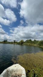 Продаж приватизованого озера Берегово! фото 5 Продаж приватизованого озера Берегово! фото 5