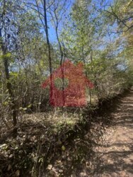 Продаж ділянки в Підлипниках 18 сот фото 7 Продаж ділянки в Підлипниках 18 сот фото 7