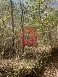 Продаж ділянки в Підлипниках 18 сот фото 8 Продаж ділянки в Підлипниках 18 сот фото 8