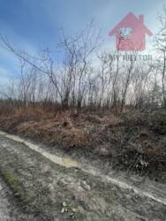 ������ �������� ������! ���� 4