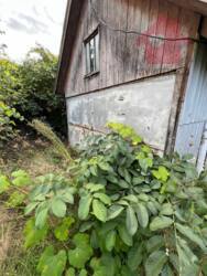 Продається чудова ділянка м.Ужгород фото 3 Продається чудова ділянка м.Ужгород фото 3