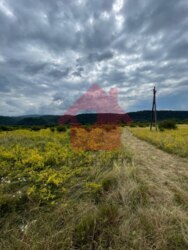 Продається ділянка Закарпатська, Ужгородський, Невицьке, Невицьке фото 6 Продається ділянка Закарпатська, Ужгородський, Невицьке, Невицьке фото 6