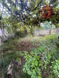 Продаж земельної ділянки с.Камяниця! фото 3 Продаж земельної ділянки с.Камяниця! фото 3