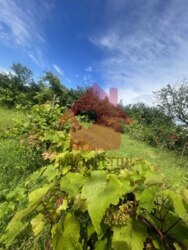 Продаж ділянки вул.Джерельна фото 5 Продаж ділянки вул.Джерельна фото 5