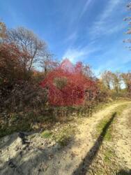 Продаж ділянки в районі готелю Дружба фото 3 Продаж ділянки в районі готелю Дружба фото 3