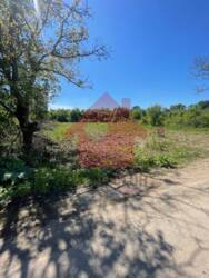 Продаж ділянки Садовий! фото 4 Продаж ділянки Садовий! фото 4