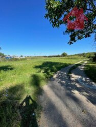 Продається земельна ділянка с. Холмок! фото 2 Продається земельна ділянка с. Холмок! фото 2