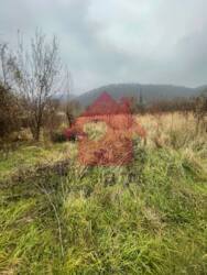 Продаж земелтної ділянки с. Невицьке фото 5 Продаж земелтної ділянки с. Невицьке фото 5