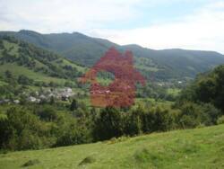 Продаж ділянки біля лісу. с. Гута! фото 1 Продаж ділянки біля лісу. с. Гута! фото 1