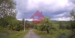 Продаж ділянки біля лісу. с. Гута! фото 2 Продаж ділянки біля лісу. с. Гута! фото 2