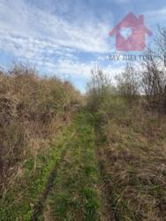 �������� ������ ��� ����� 555, ������! ���� 2