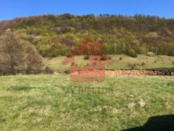 Продаж 1 Гектара землі в с. Худльово фото 7 Продаж 1 Гектара землі в с. Худльово фото 7