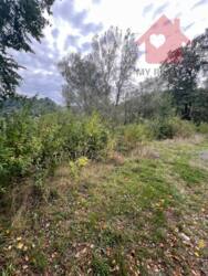 Продаж чудових ділянок в с.Кам'яниця фото 7 Продаж чудових ділянок в с.Кам'яниця фото 7