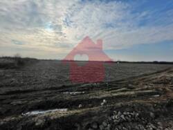 Продаж ділянки 1 Га ОСГ в Сторожниці фото 2 Продаж ділянки 1 Га ОСГ в Сторожниці фото 2